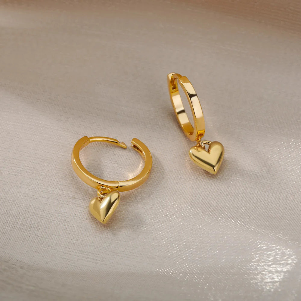 Heart Drop Stainless Steel Earrings