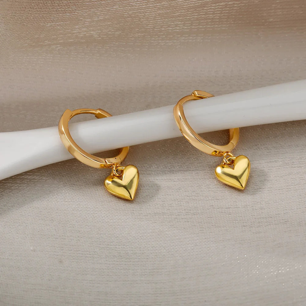 Heart Drop Stainless Steel Earrings